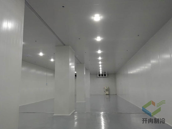 建造gsp醫(yī)用冷藏庫安裝費用價格需要多少？