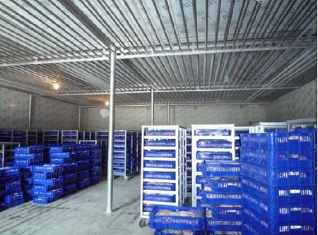 -18~-23℃冷凍庫哪種制冷方式好？（冷風機，鋁排）