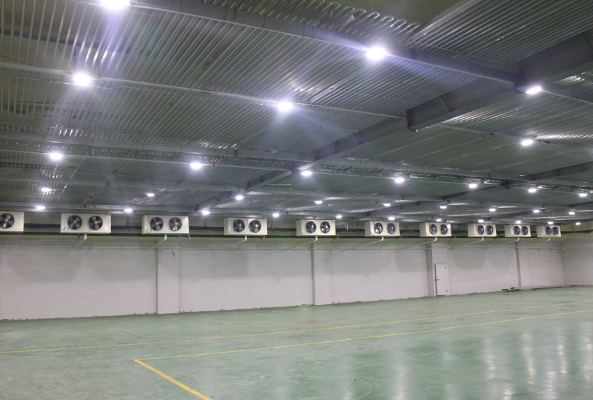 500噸冷凍肉冷庫建造，-18℃低溫肉類冷凍庫安裝造價(jià)