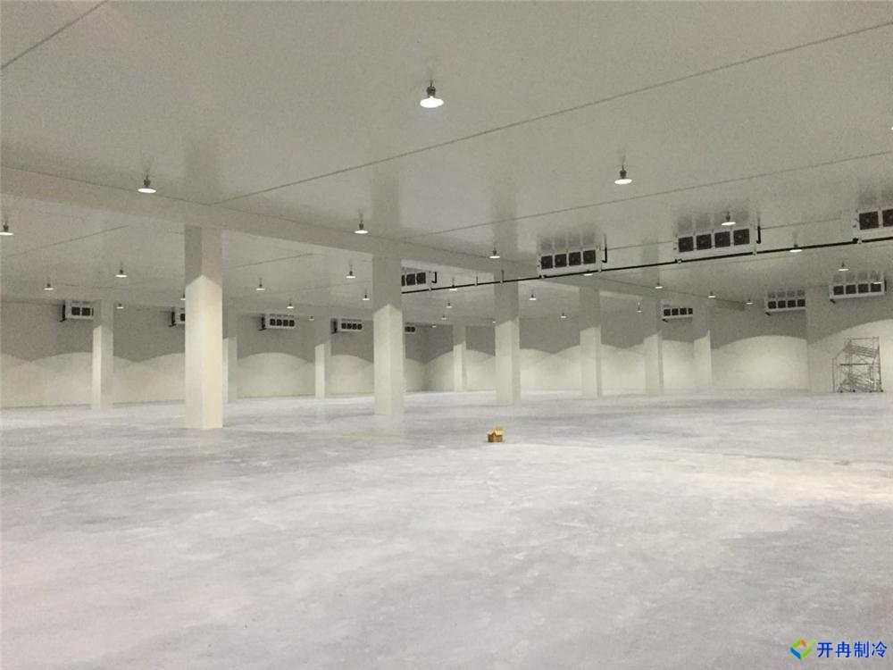 上海建500平米冷凍庫，冷庫造價成本多少錢