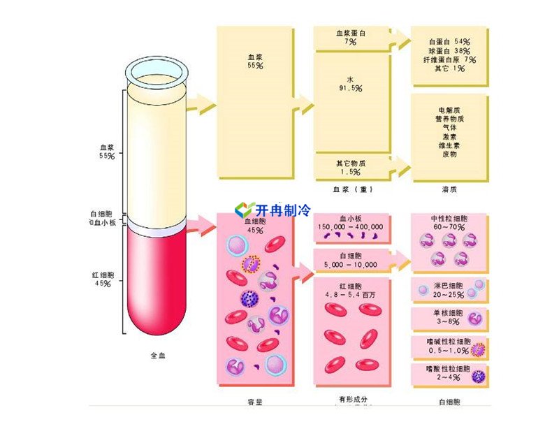 -30℃～-80℃血漿蛋白低溫冷凍庫規范，冷庫安裝價格